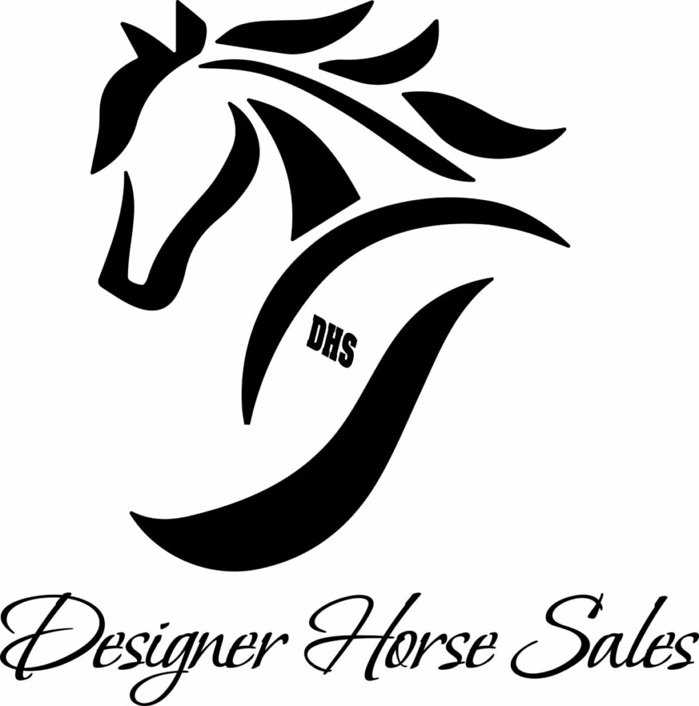 Designer Horse Sales Our mission is to offer you the best experience